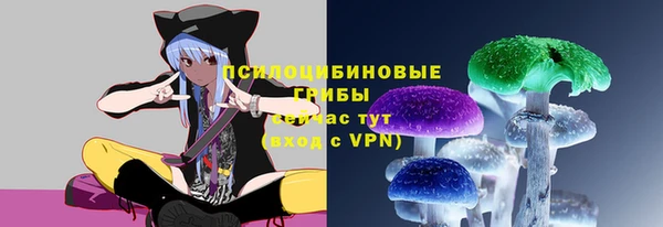 а пвп мука Абаза